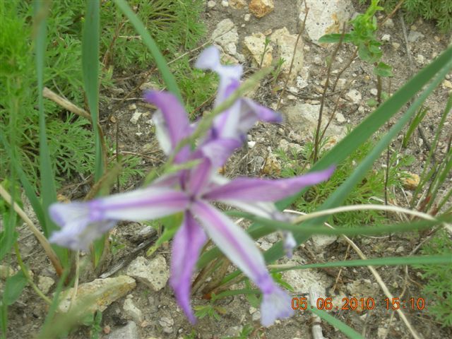 漠河之旅 199.jpg