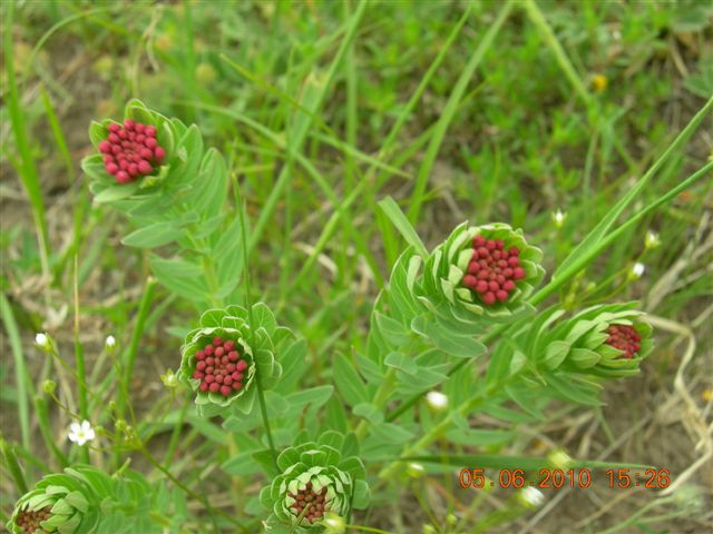 漠河之旅 202.jpg