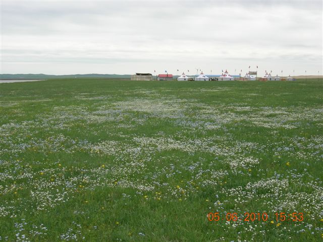 漠河之旅 223.jpg