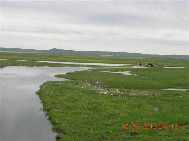 漠河之旅 230.jpg