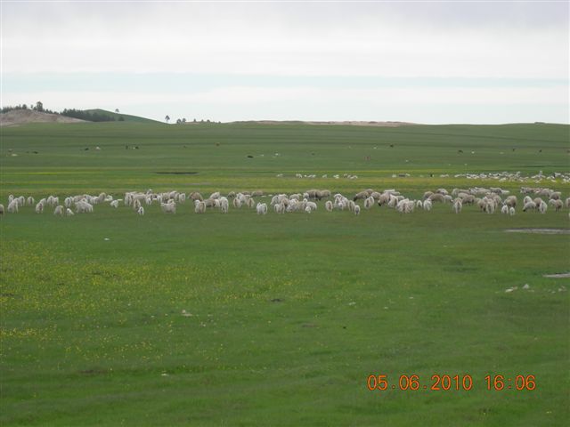 漠河之旅 225.jpg