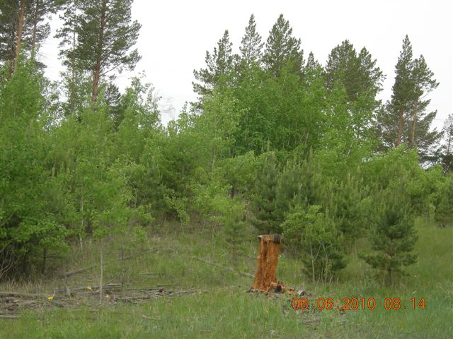 漠河之旅 250.jpg