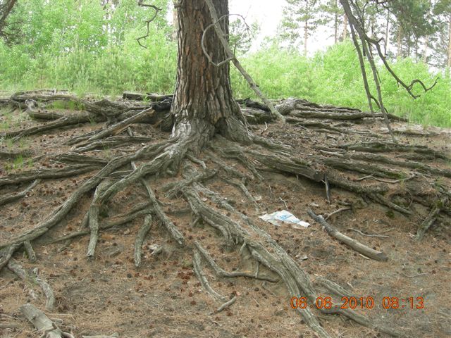 漠河之旅 249.jpg