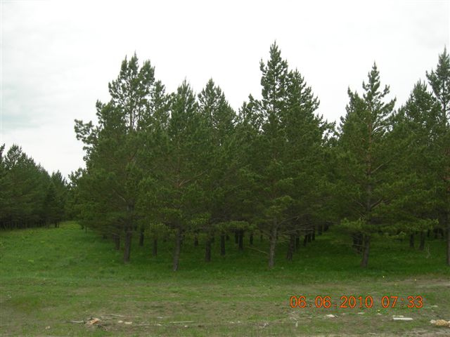 漠河之旅 239.jpg