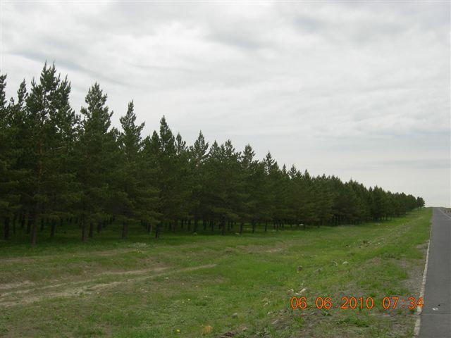 漠河之旅 240.jpg