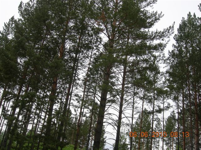 漠河之旅 248.jpg