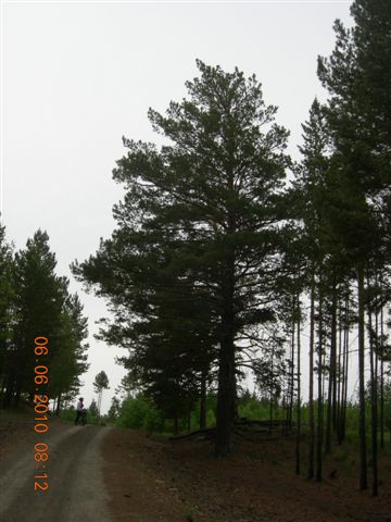 漠河之旅 247.jpg