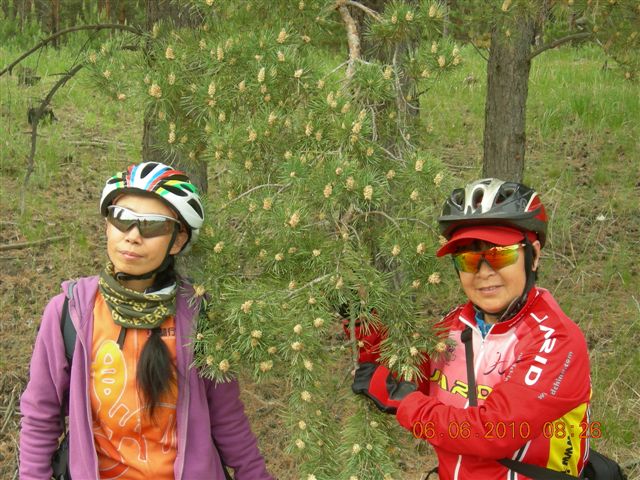 漠河之旅 264.jpg