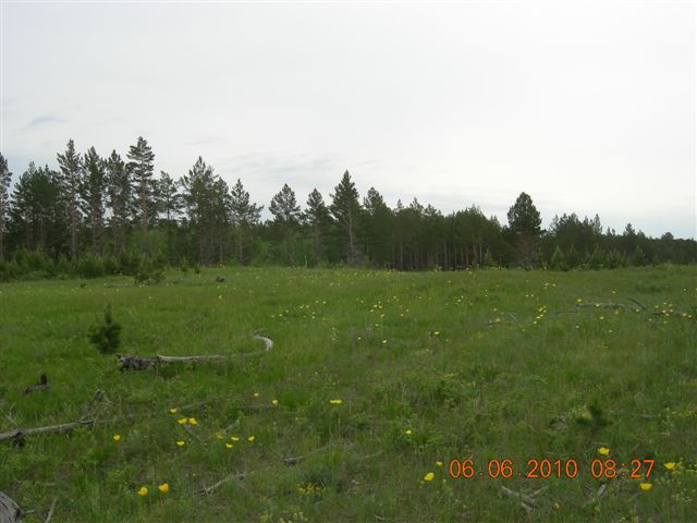 漠河之旅 267.jpg