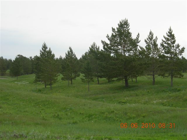 漠河之旅 268.jpg