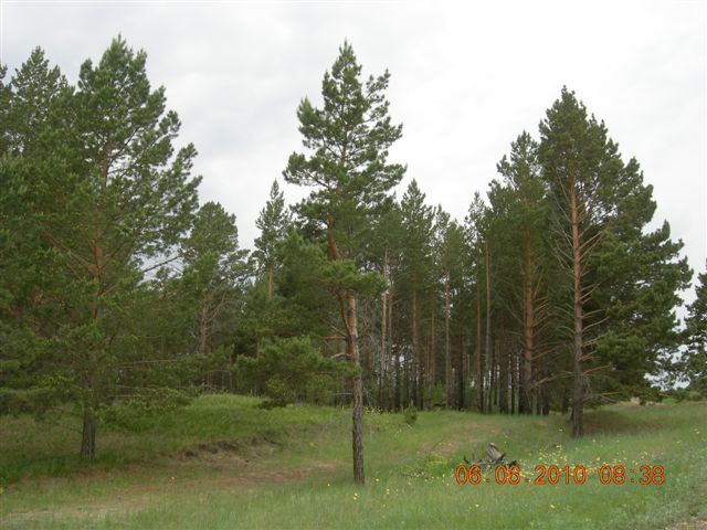 漠河之旅 271.jpg