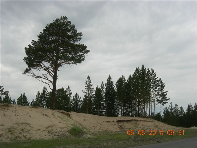 漠河之旅 288.jpg