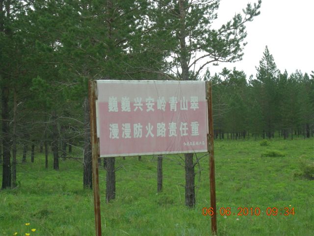 漠河之旅 290.jpg