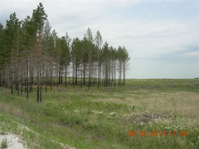 漠河之旅 302.jpg