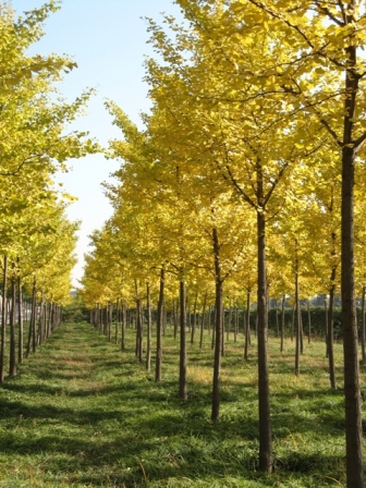 10.28 卢沟桥 006.jpg