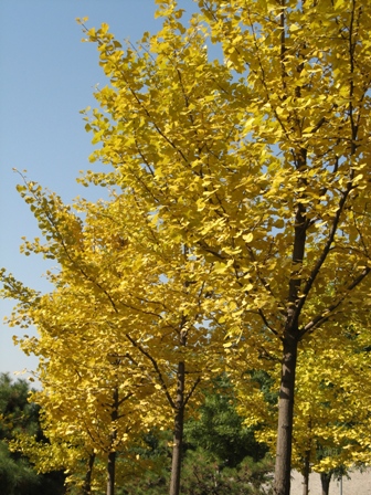 10.28 卢沟桥 007.jpg