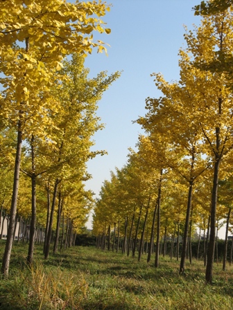 10.28 卢沟桥 008.jpg