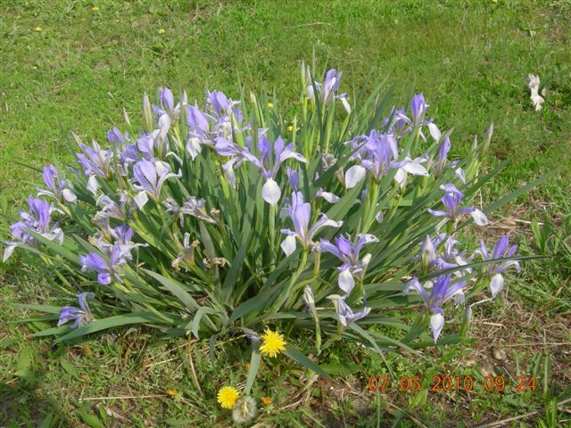 漠河之旅 350.jpg