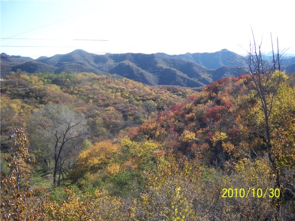 照片 501_副本.jpg