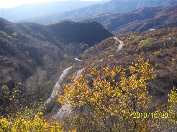 照片 500_副本.jpg