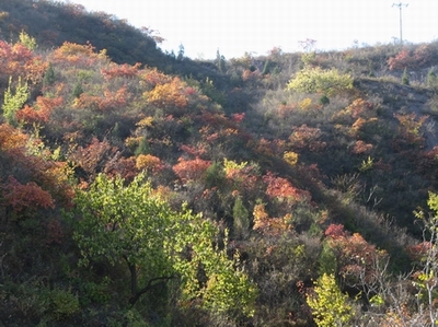 白羊沟，南雁路，雁赤，109国道 037.jpg