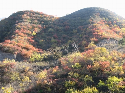白羊沟，南雁路，雁赤，109国道 058.jpg
