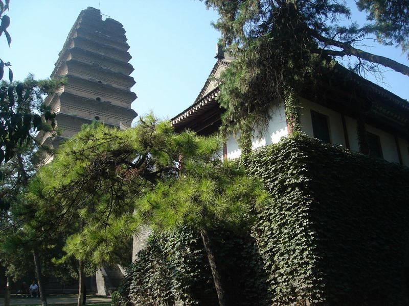DSC06552_调整大小.JPG