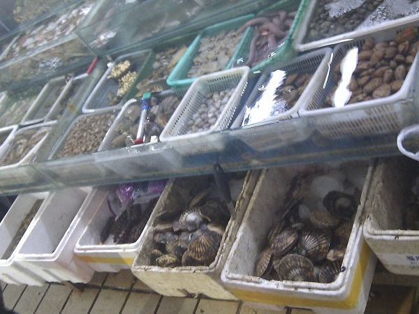 nEO_IMG_C360_2010-11-08 19-04-34.jpg