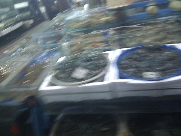 nEO_IMG_C360_2010-11-08 19-04-20.jpg