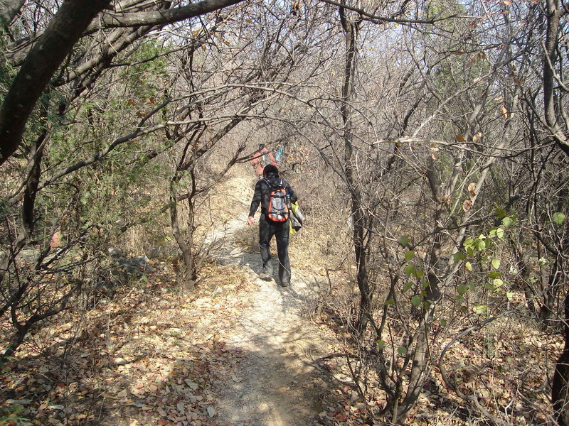 朱姐穿过“封锁线”