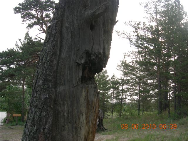 漠河之旅 439.jpg