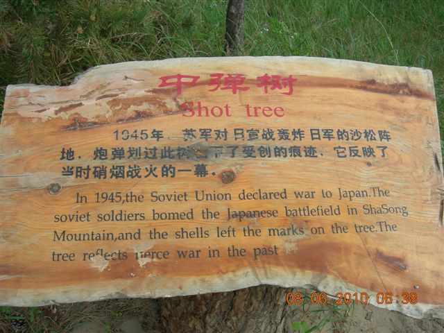 漠河之旅 438.jpg