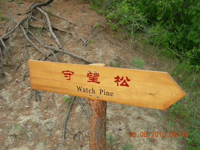 漠河之旅 448.jpg