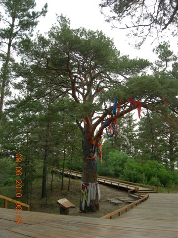 漠河之旅 446.jpg