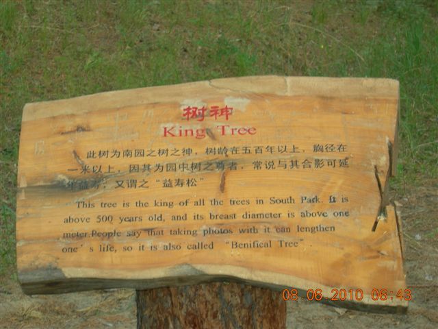 漠河之旅 445.jpg