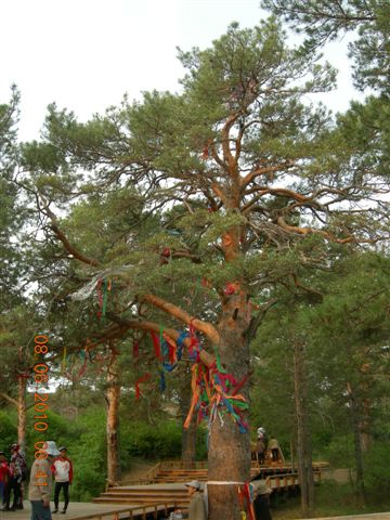 漠河之旅 444.jpg