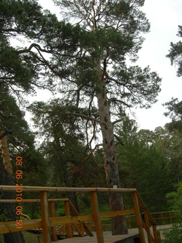 漠河之旅 470.jpg