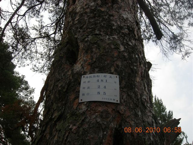 漠河之旅 469.jpg