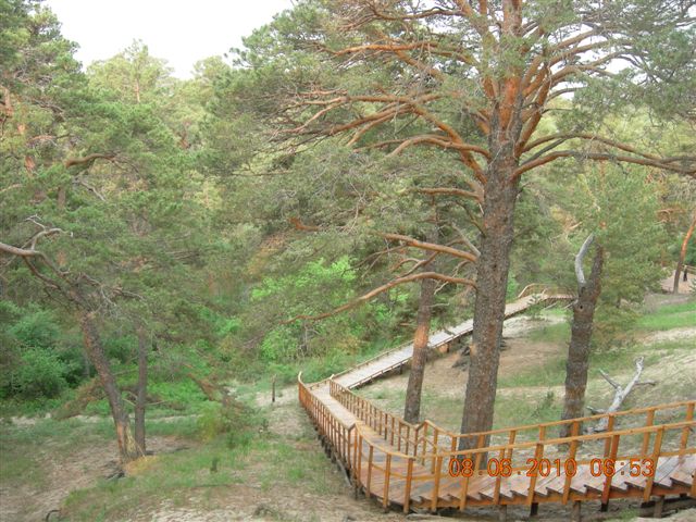 漠河之旅 459.jpg