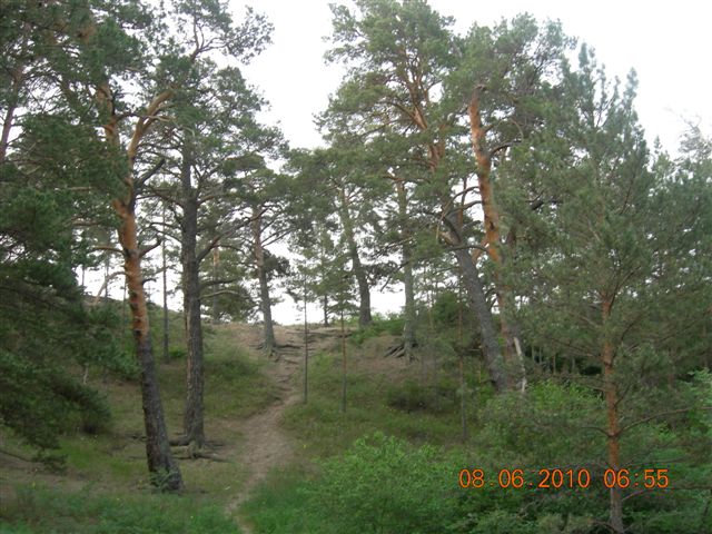 漠河之旅 462.jpg