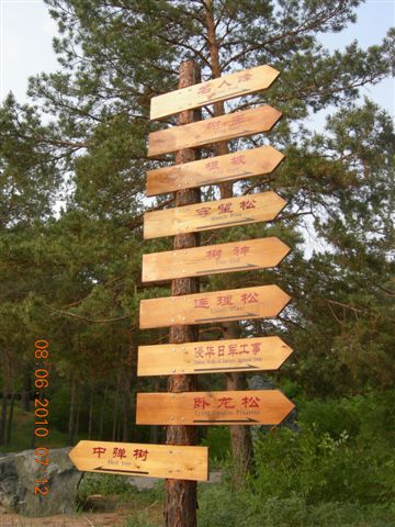 漠河之旅 482.jpg