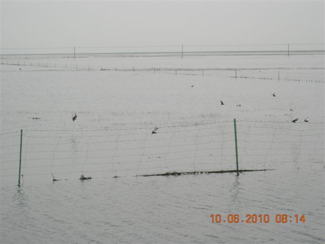 漠河之旅 597.jpg