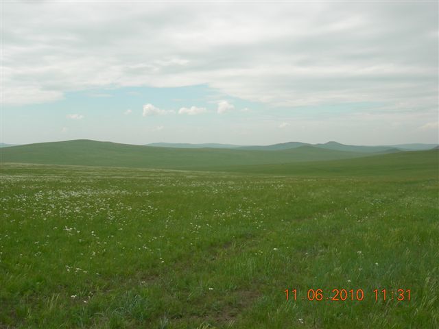 漠河之旅 718.jpg