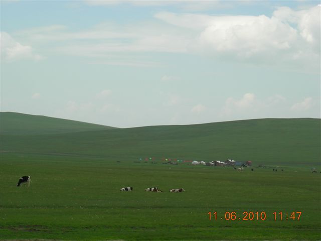 漠河之旅 723.jpg