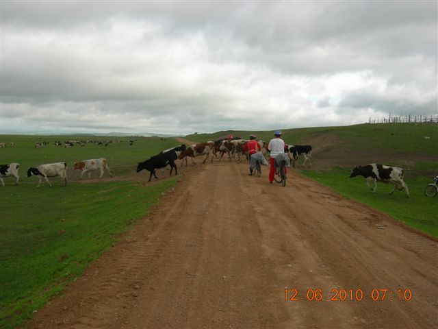 漠河之旅 758.jpg