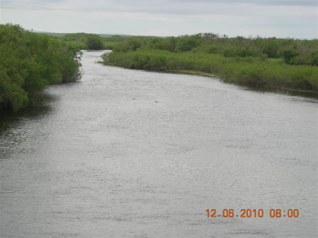 漠河之旅 770.jpg