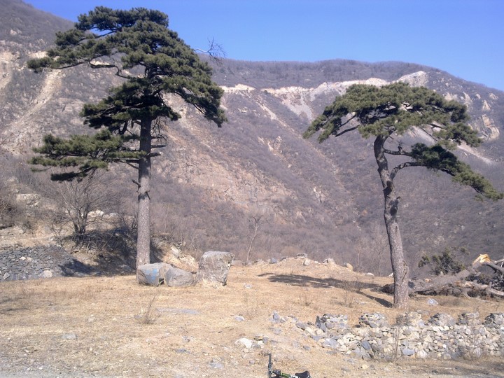 我是第多少个仰望过它的人？