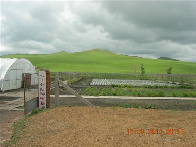 漠河之旅 787.jpg