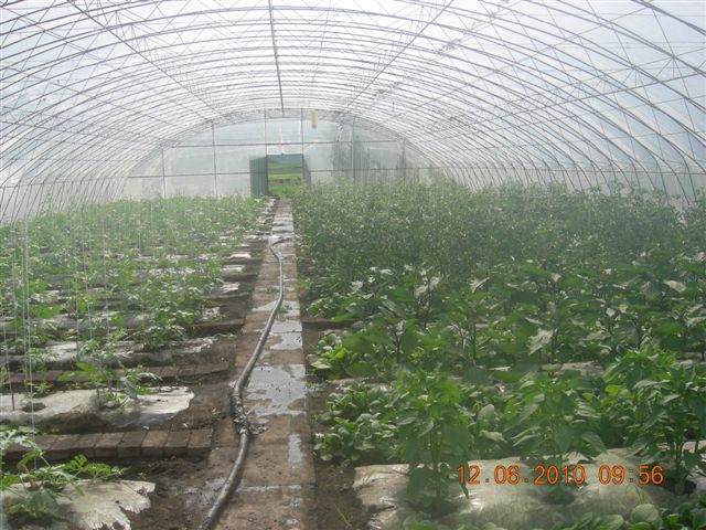 漠河之旅 788.jpg