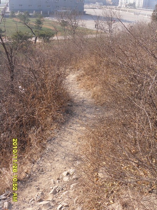 就从这上来的，有人走过吗？